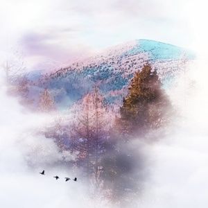 Meet your Posher, Debi